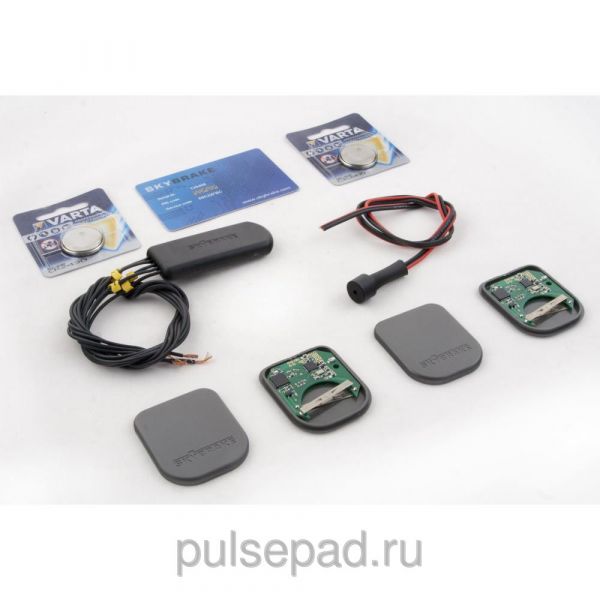 Иммобилайзер Skybrake DD2+имоб Skybrake DD2+PIN 020113