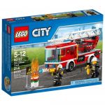 Пластиковый конструктор LEGO City Fire Пожарная машина с лестницей (60107)