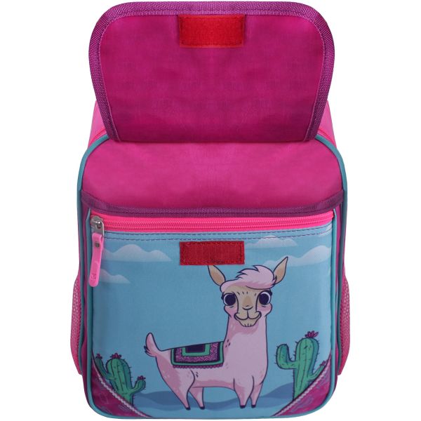 Рюкзак школьный Bagland Отличник 20 л. Малиновый 617 (0058070)
