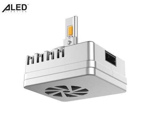 Світлодіодні лампи ALed X D5S 6000K 35W XD5SD08 (2шт)