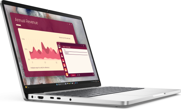 Ноутбук  Dell Pro 14 PC14250 (bts110_pc14250_usx)