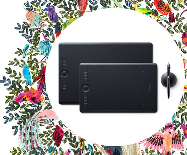 Графический планшет Wacom Intuos Pro L 2 (PTH-860)