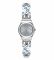 Наручные часы Swatch SILVER HUG YSS332G